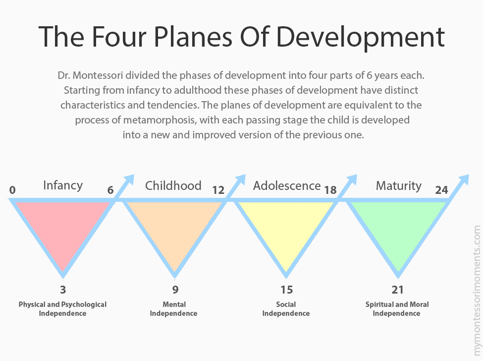 Montessori Planes of Development chart