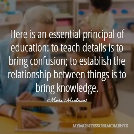Quote by Maria Montessori - Here is an essential principal of education: to teach details is to bring confusion; to establish the relationship between things is to bring knowledge.