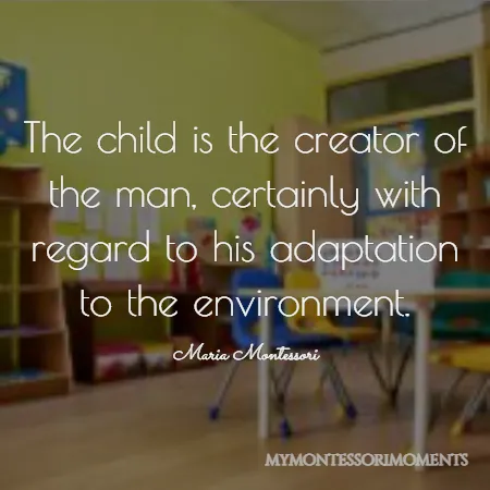 Quote by Maria Montessori -  The child is the creator of the man, certainly with regard to his adaptation to the environment.