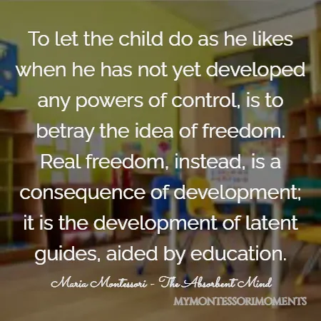 Quote by Maria Montessori - To let the child do as he likes when he has not yet developed any powers of control, is to betray the idea of freedom. Real freedom, instead, is a consequence of development; it is the development of latent guides, aided by education.